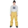 DC Shoes Men's Banshee Pants -Ski Gear Cheap fw23 dc mensbansheepants bronzemist
