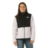 The North Face Women's Denali Jacket -Ski Gear Cheap fw23 tnf womensdenalijacket lavendarfog model1