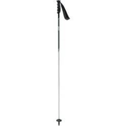 Swix Swix Excalibur Ski Pole -Ski Gear Cheap swix excalibur ski pole light all