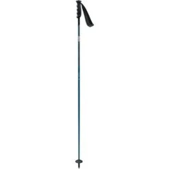 Swix Swix Excalibur Ski Pole -Ski Gear Cheap swix excalibur ski pole sea all