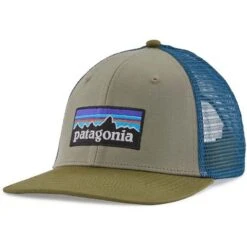 Patagonia P-6 Logo Trucker Hat -Ski Gear Cheap wbf2223 38289 gdng